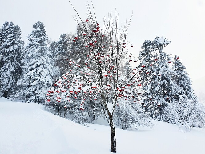 20201229_140117_JPM-1_1