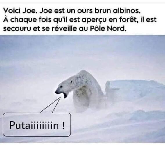 signal-2026-04-08-18-29-05-768