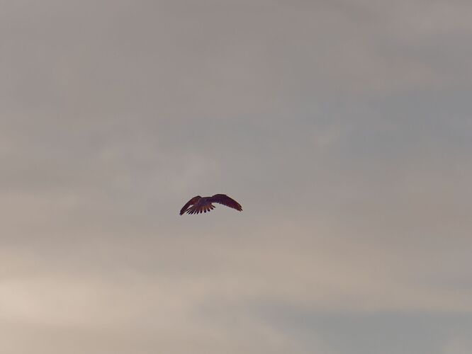 P1045640_JPM