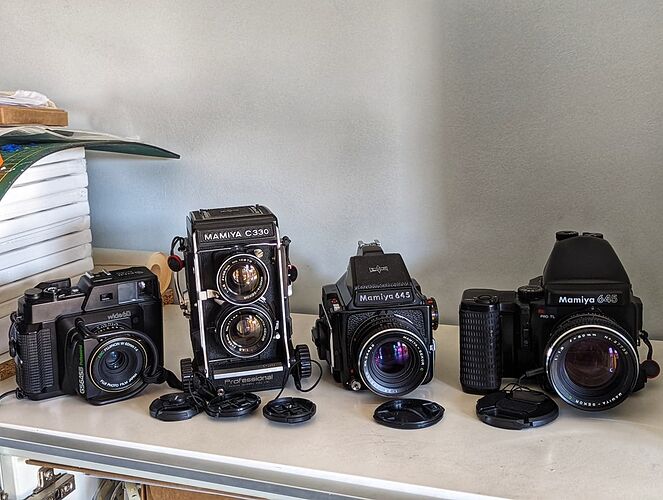 PXL_20220601_135535562-01