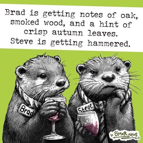 518055890_1246040600520450_3217271555583263821_n