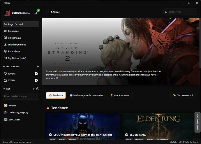 La page d'accueil à la manière de celle de Steam avec différentes sections.
