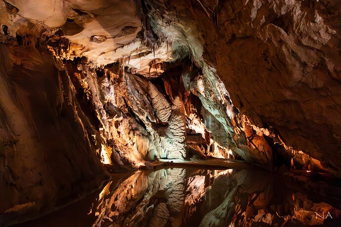 IMG_8043-Enhanced-NR