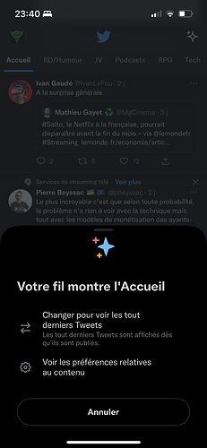 Capture d’écran . 2022-11-16 à 23.40.51