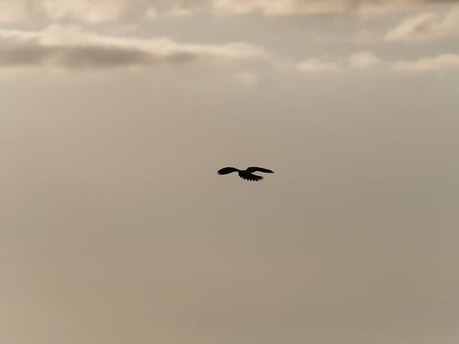 P1045582_JPM