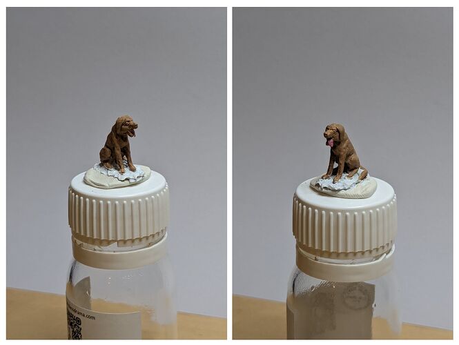 20240225_222527-COLLAGE