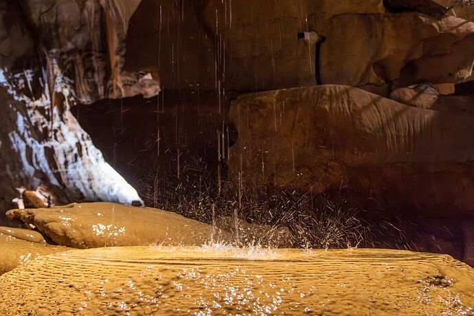 IMG_8045-Enhanced-NR