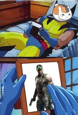 splinter