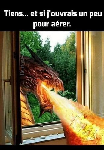 FB_IMG_1751290773487