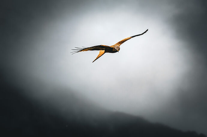 IMG_3451-Enhanced-NR-2