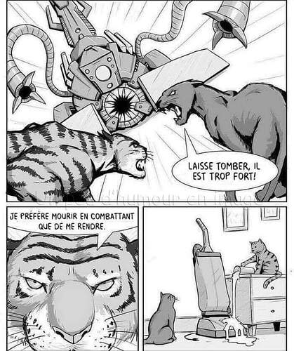 FB_IMG_1731073913886