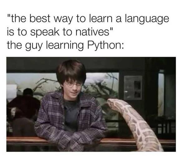 505782535_1054014383578044_6931371972958638051_n