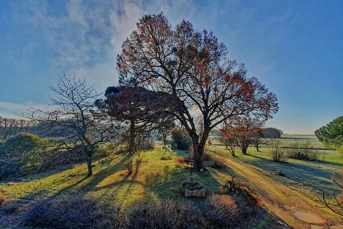 20210101_104635_JPM-1_1