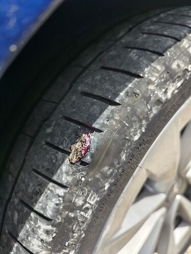IMG_20220821_113016