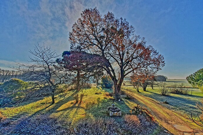 20210101_104635_JPM_2