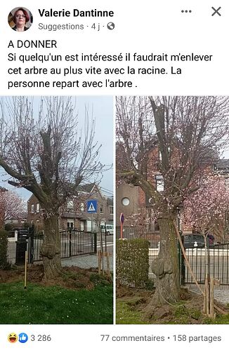 Screenshot_20240314_173510_Facebook