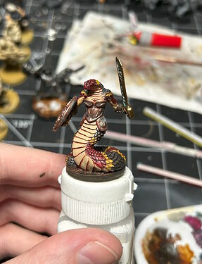 reaper-bones-nagendra-shieldmaiden-77694-01