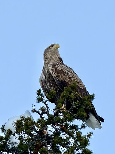 IMG_1284