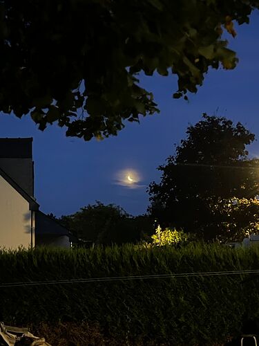IMG_3468