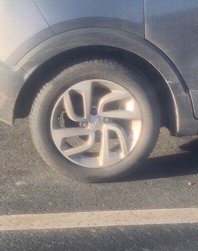 IMG_20260208_103108~2