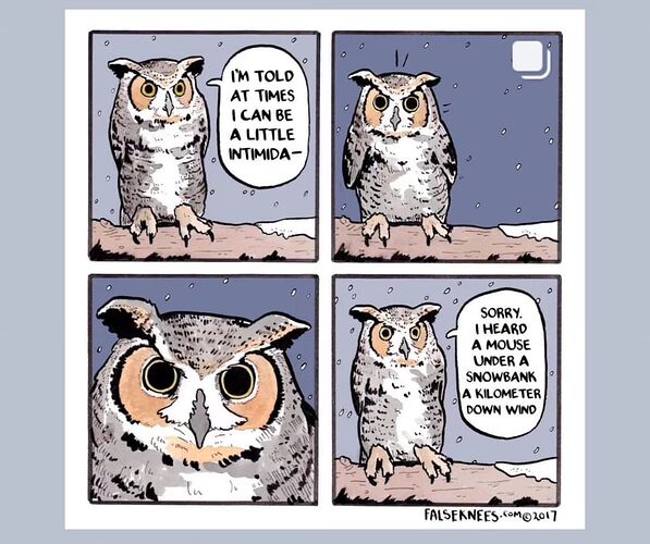 Intimidating_Owl